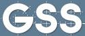 GSS German Spacer Solutions GmbH logo
